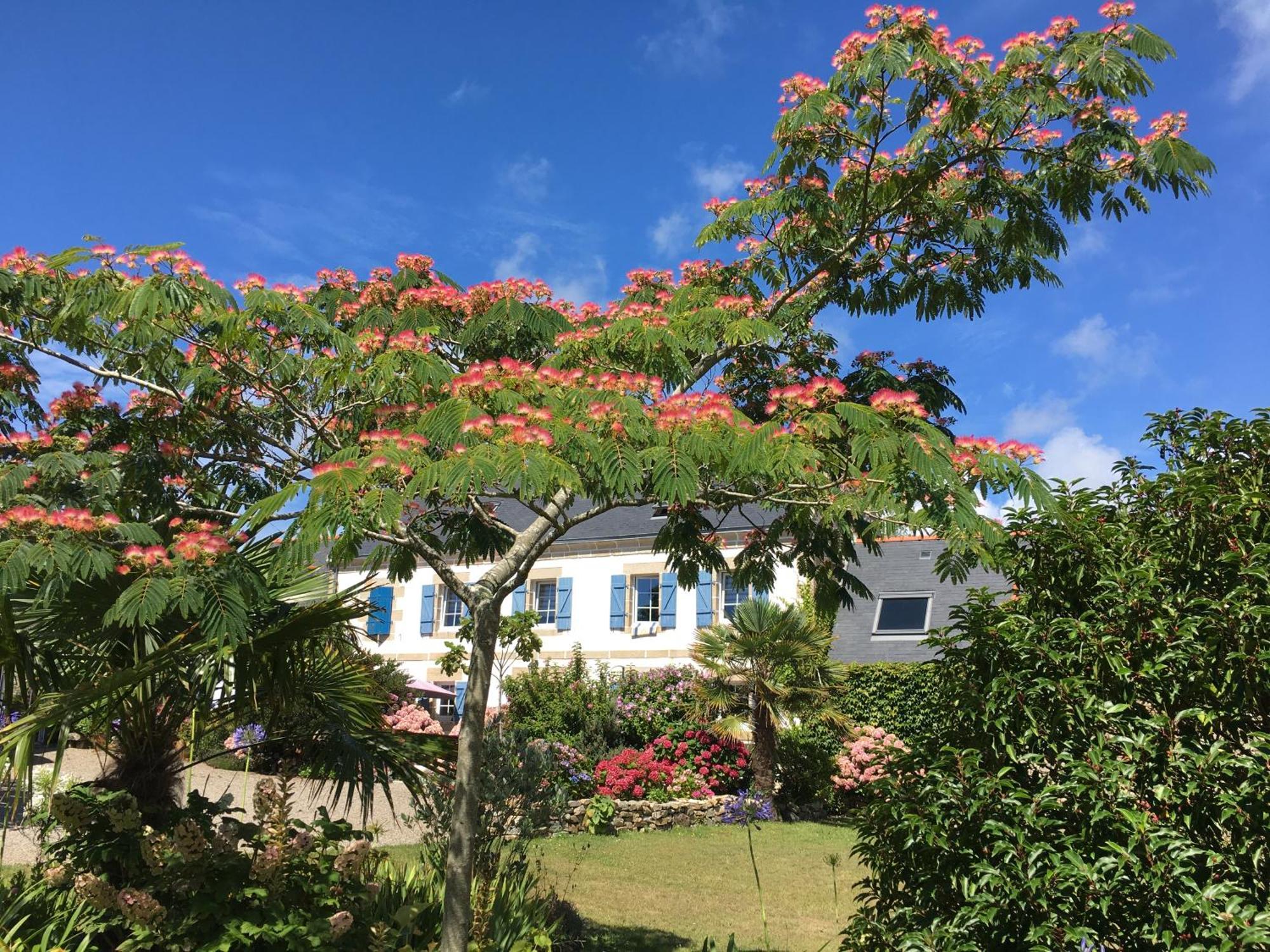 La Ferme De Kerivoas Bed & Breakfast Audierne Exterior foto